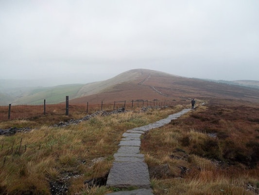 Derbyshire dog walks Shining Tor