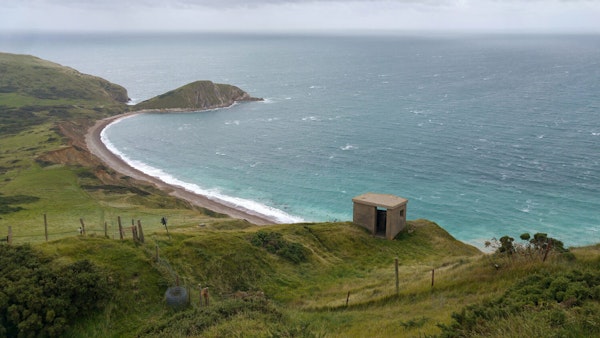 Dorset dog walks Worbarrow Bay