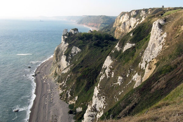 Devon dog walks Branscombe