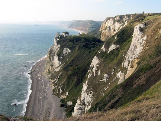 Devon dog walks  Branscombe