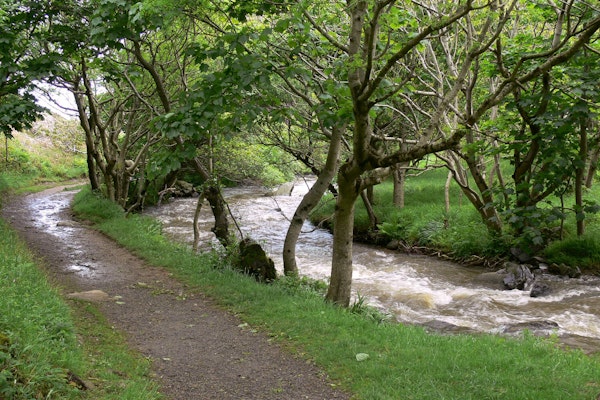 Devon dog walks Heddon Valley