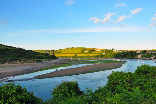 Devon dog walks Estuary Walk