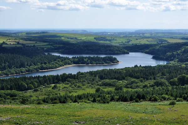 Devon dog walks Burrator Reservoir 