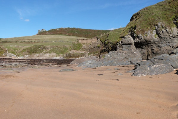 Devon dog walks Soar Mill Cove