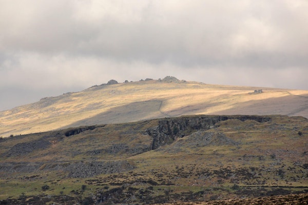 Devon dog walks Great Mis Tor