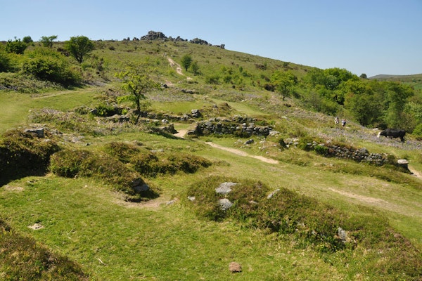 Devon dog walks Hound Tor