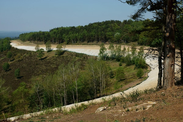 Surrey dog walk Devils Punch Bowl