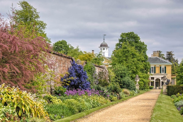 Surrey dog walk Polesdon Lacey