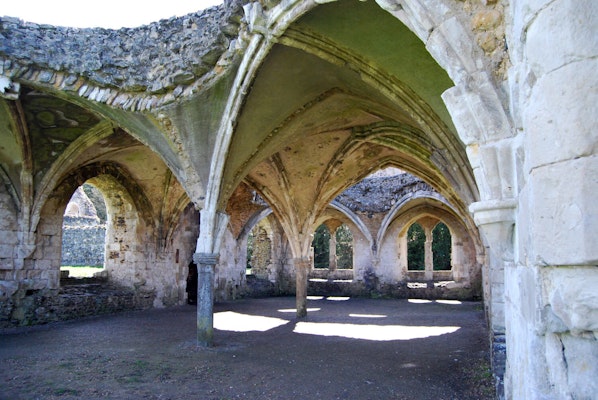 Surrey dog walk Waverley Abbey