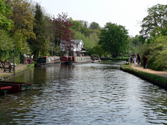 Surrey dog walk Guildford River Way