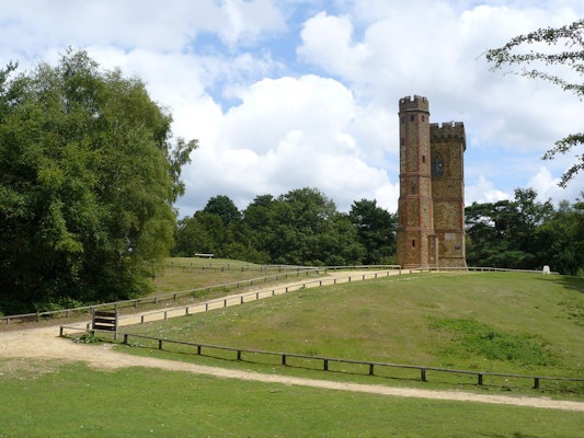 Surrey dog walk Leith Hill