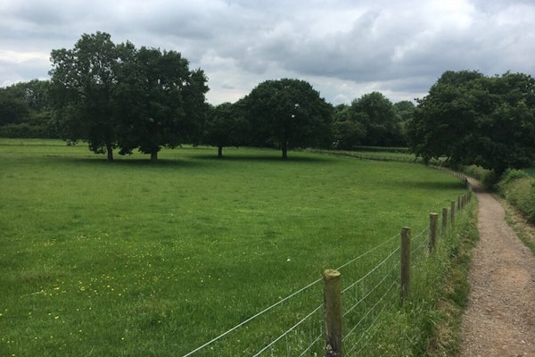 Leicestershire dog walk Bosworth Battlefield 