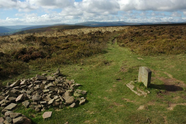 Wales dog walk Offas Dyke