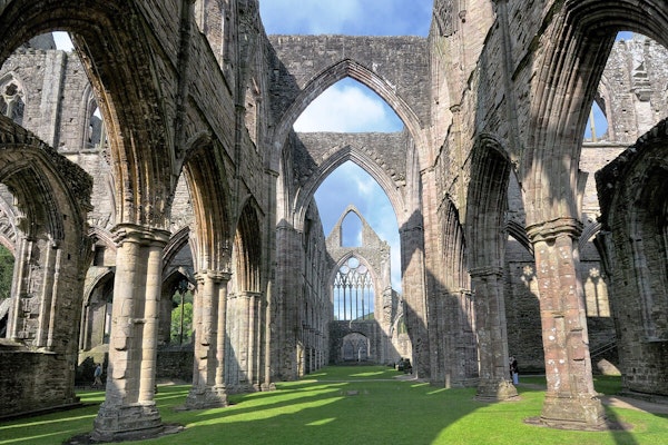 Wales dog walk Tintern Abbey