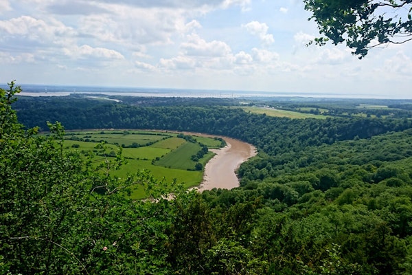 Wales dog walk Wye Valley