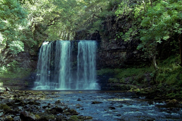 Wales dog walk Waterfalls Walk