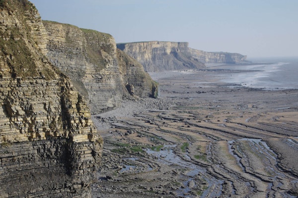 Wales dog walk Glamorgan