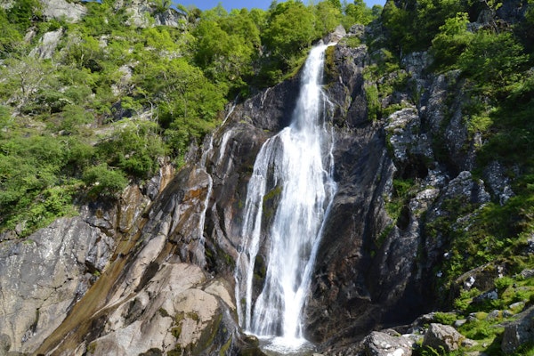 Wales dog walk Aber Falls