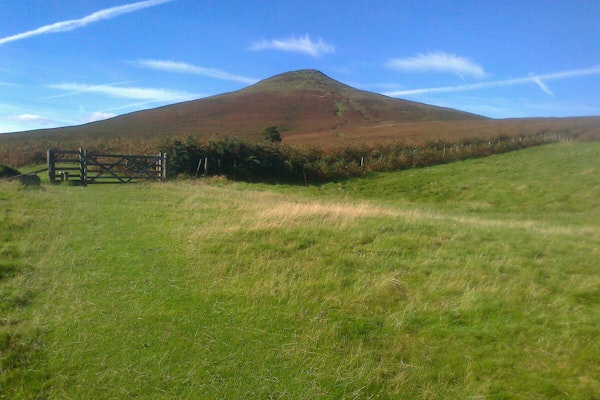 Wales dog walk Sugarloaf Mountain