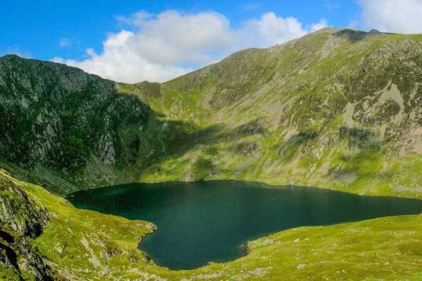 Wales dog walk Snowdonia