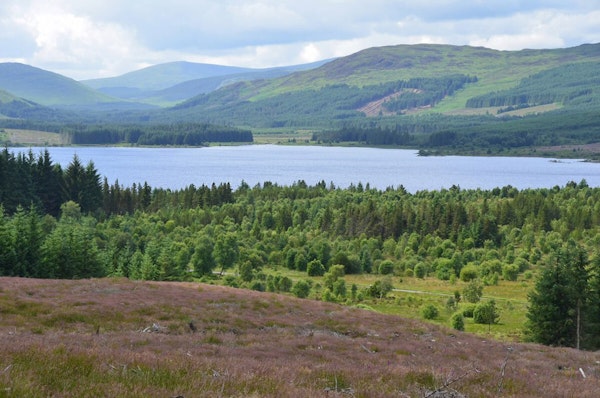 Dumfries Galloway dog walks Forest Park