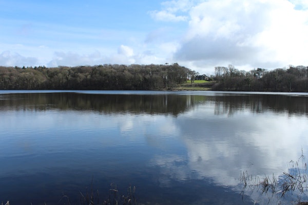 Dumfries Galloway dog walks Back Bay Circular