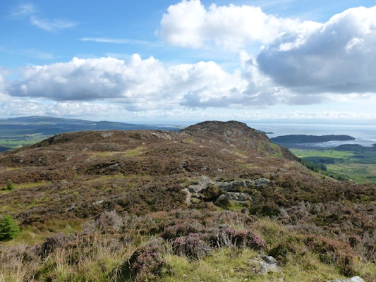 Dumfries Galloway dog walks Screel Hill