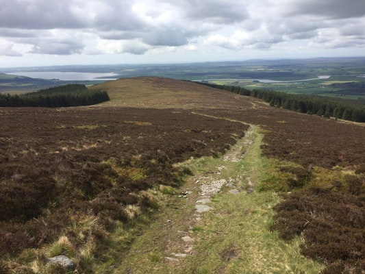 Dumfries Galloway dog walks Cairnsmore