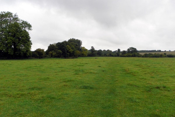 Hertfordshire dog walks Radwell Meadows