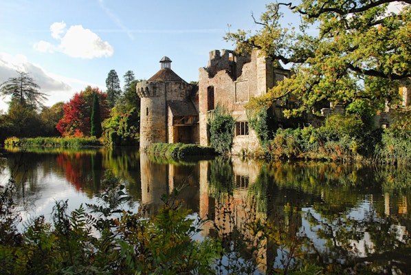 Kent dog walk Scotney Castle