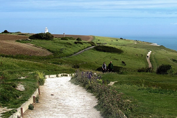 Kent dog walk White Cliffs of Dover