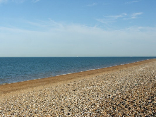 Kent dog walk Sandwich Bay