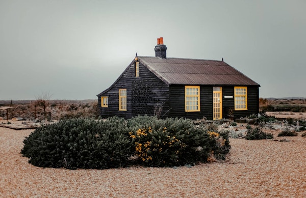 Kent dog walk Dungeness