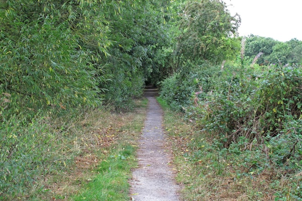 Suffolk dog walks Hadleigh Railway