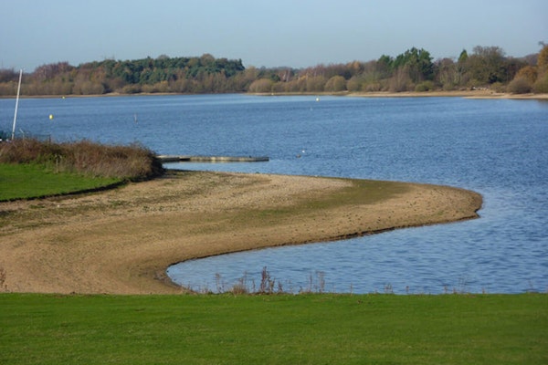 Suffolk dog walks Alton Water