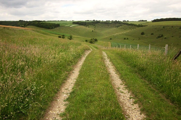 Wiltshire dog walk Broad Chalke