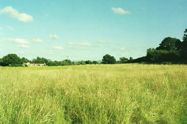 Wiltshire dog walk Southwick Country Park