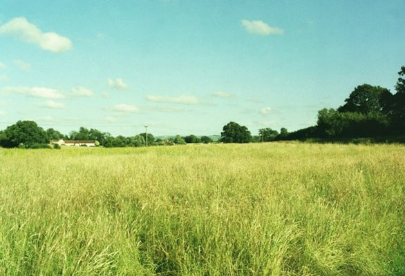 Dog walk at Alfred's Tower · Wiltshire · Walkiees