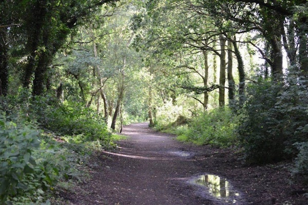 Shropshire dog walks Granville Country Park