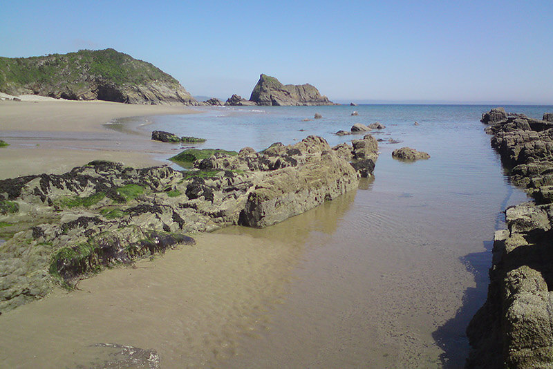 Which Beaches In Pembrokeshire Allow Dogs