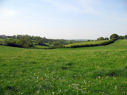 Gloucestershire dog walk Marshfield