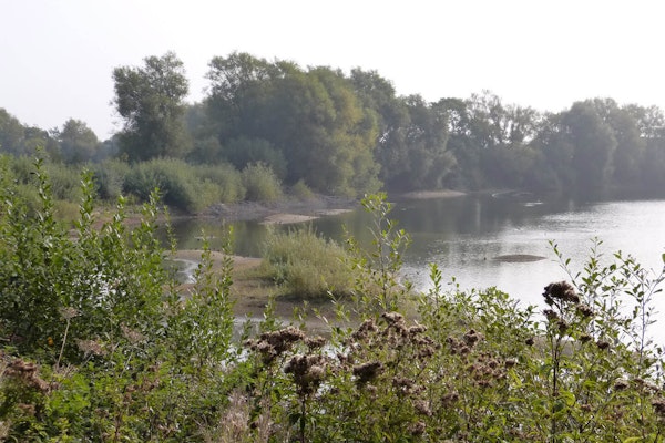 Gloucestershire dog walk Whelford Pools