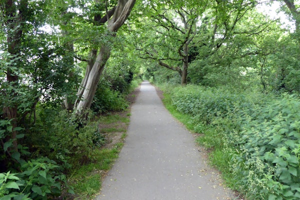 East Sussex dog walk Cuckoo Trail