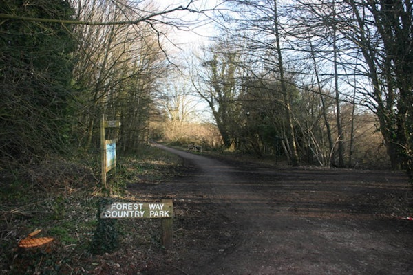 East Sussex dog walk Forest Way