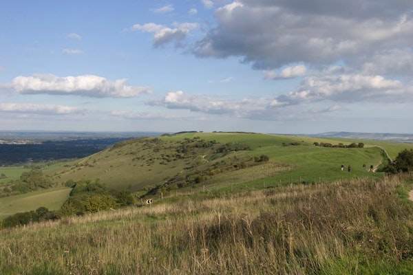 East Sussex dog walk Ditchling Beacon