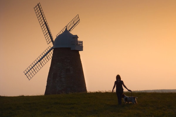West Sussex dog walk Halnaker Windmill