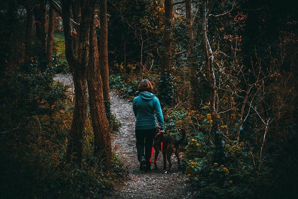 Making sure your dog is safe in the winter