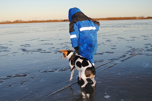 Keeping dogs safe in winter