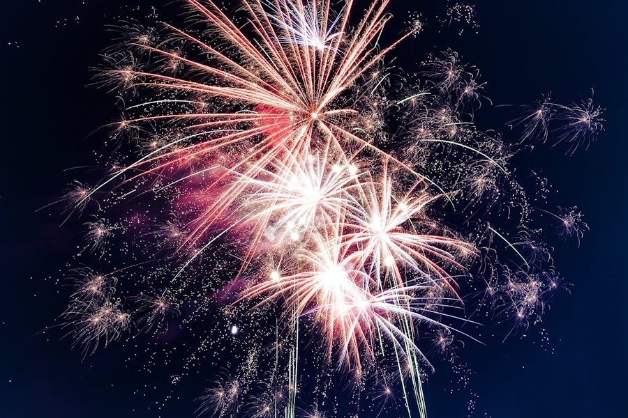 How to help your dog cope with fireworks