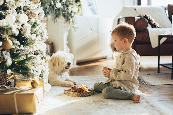 Helping your dog feel calm at Christmas